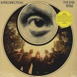 the-end-introspection