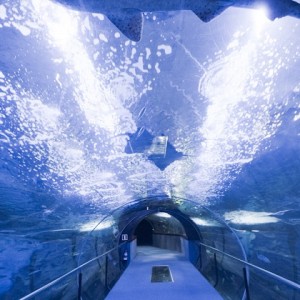 Aquarium-san-sebastian-acuarios-5
