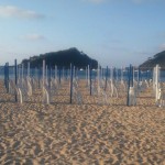 playa-san-sebastián-ondarreta